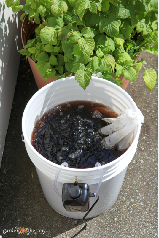 Michael's Recipe for Compost Tea