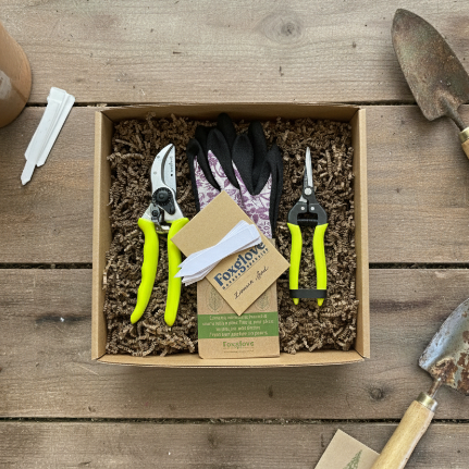 gardening gloves gift set Limited Edition Gift Set with Floral Gloves