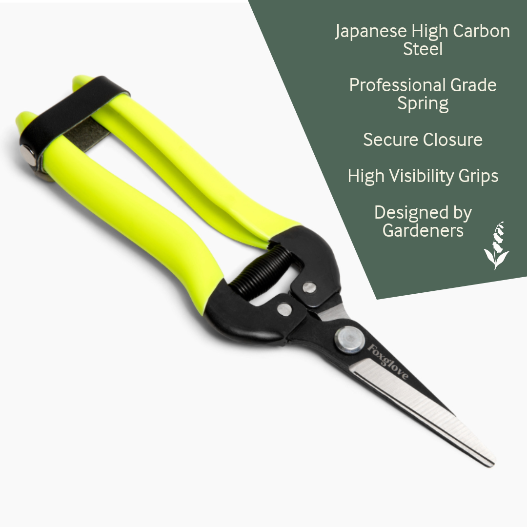 Limited Edition Foxglove Pruner Set